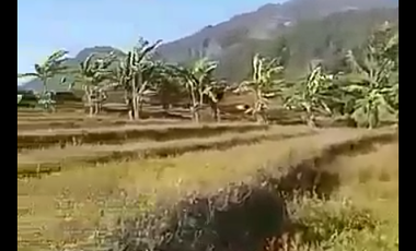 Tanah view pegunungan luas 10500 m2 di Trawas, Kabupaten  Mojokerto