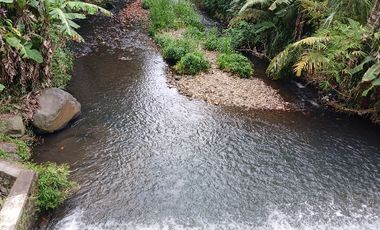 Tanah SHM pinggir jalan di Donokerto Turi  dekat sungai (NEGO)