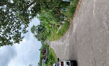 Tanah SHM pinggir jalan di Donokerto Turi  dekat sungai (NEGO)