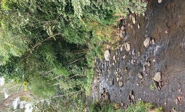 Tanah SHM pinggir jalan di Donokerto Turi  dekat sungai (NEGO)