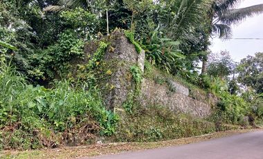 Tanah SHM pinggir jalan di Donokerto Turi  dekat sungai (NEGO)