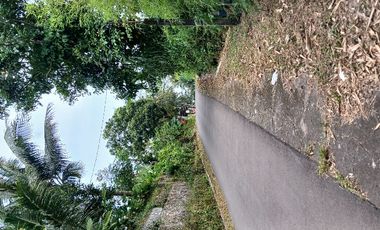 Tanah SHM pinggir jalan di Donokerto Turi  dekat sungai (NEGO)