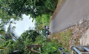 Tanah SHM pinggir jalan di Donokerto Turi  dekat sungai (NEGO)