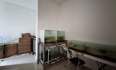 Dijual Rumah Modern TERAWAT di Antasura, Denpasar Utara