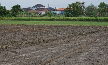 Tanah sawah mobil masuk ke lokasi harga termurah di kelasnya