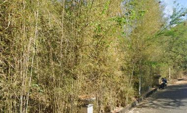 Dijual Tanah Kavlingan 350 m2 Nusa Dua