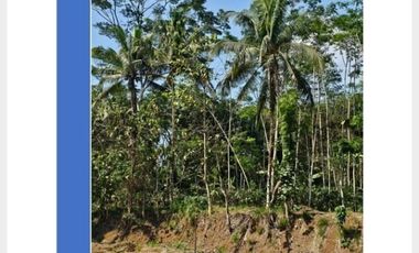 TANAH STRATEGIS 3,5H AKSES TRONTON ZONA INDUSTRI KRANGGAN TEMANGGUNG