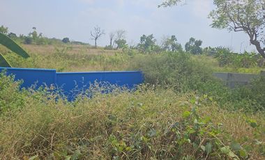 Tanah Jl. Raya Mantup, Desa Wonokromo, Kec. Tikung, Kab. Lamongan