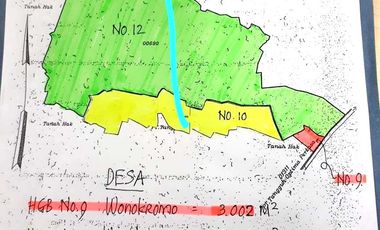 Tanah Jl. Raya Mantup, Desa Wonokromo, Kec. Tikung, Kab. Lamongan