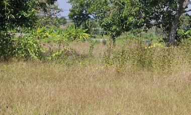 Tanah Jl. Raya Mantup, Desa Wonokromo, Kec. Tikung, Kab. Lamongan