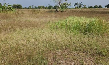 Tanah Jl. Raya Mantup, Desa Wonokromo, Kec. Tikung, Kab. Lamongan