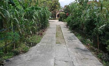 Villa Daerah Cipanas Garut Gunung Guntur