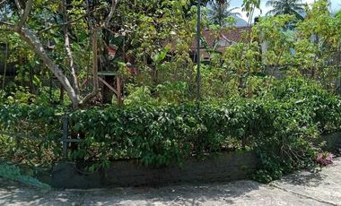 Villa Daerah Cipanas Garut Gunung Guntur