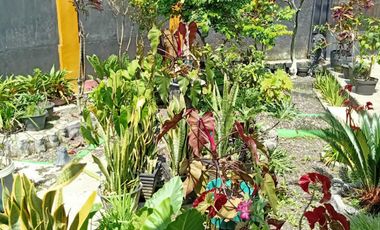 Rumah Dijual di Garut, Kokoh, Murah, di Sudirman (2)