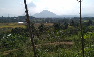 Tanah Dijual di Garut, Cocok Untuk Dijadikan Villa