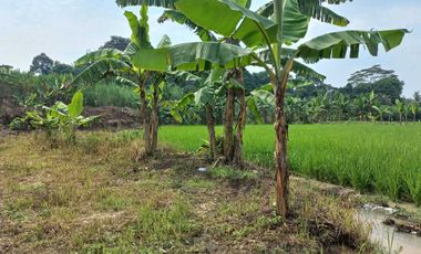 Dijual tanah pinggir jalan aspal dekat UIN Serang, 3022 m2, SHM, 200rb