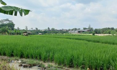 Dijual tanah pinggir jalan aspal dekat UIN Serang, 3022 m2, SHM, 200rb