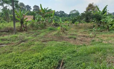 Dijual tanah pinggir jalan aspal dekat UIN Serang, 3022 m2, SHM, 200rb