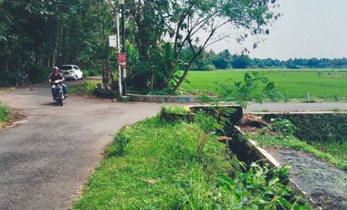 dijual sawah produktif di bantul trimurti srandakan bantul