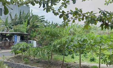 Dijual Tanah Premium lokasi legian kuta