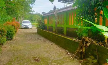 Dijual Rumah murah strategis di Kota Karangmojo Gunung Kidul siap paka