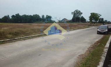 Jual Tanah di Kawasan industri Buditexindo Serang, Banten.