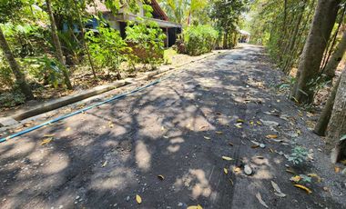 JUAL TANAH DI SECANG SENDANGSARI PENGASIH KULONPROGO