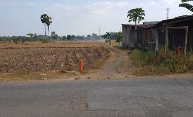 JUAL TANAH STRATEGIS JL POROS BORIMATANGKASA DESA BAJENG GOWA MAKASSAR