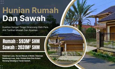 RUMAH SIAP HUNI - SAWAH PTODUKTIF - KOLAM IKAN - KOLAM RENANG