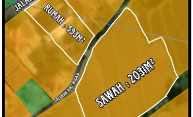RUMAH SIAP HUNI - SAWAH PTODUKTIF - KOLAM IKAN - KOLAM RENANG