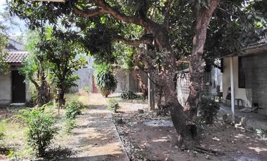 Rumah lama Di Pogung baru Kawasan Kampus UGM - Pogung Baru Sleman