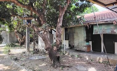 Rumah lama Di Pogung baru Kawasan Kampus UGM - Pogung Baru Sleman
