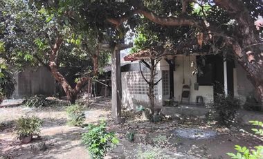 Rumah lama Di Pogung baru Kawasan Kampus UGM - Pogung Baru Sleman