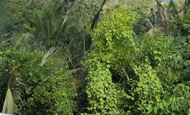 Villa Baru 3 Br 2Lt Ocean View Tropical Modern Style Ungasan Bali