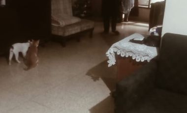 Rumah murah di bawah pasaran untuk kosan di Bangka Mampang Jaksel