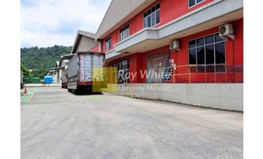 Sewa Gudang Campang Raya
