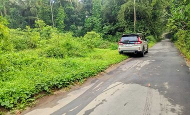 Tanah Murah Utara GOR Tridadi Sleman, 175 Jt