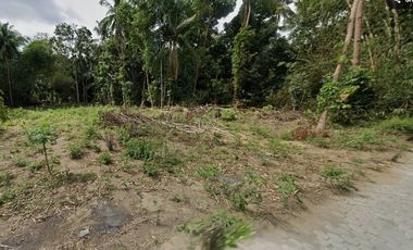 Tanah Murah Utara GOR Tridadi Sleman, 175 Jt