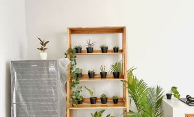 Dijual Full Furnihsed Villa Near Canggu at Munggu Badung Bali