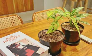 Dijual Full Furnihsed Villa Near Canggu at Munggu Badung Bali