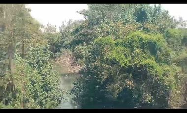 Lahan usaha pabrik Kertas 3,3 HA harga 30 Milyar di Kesamben, Jombang