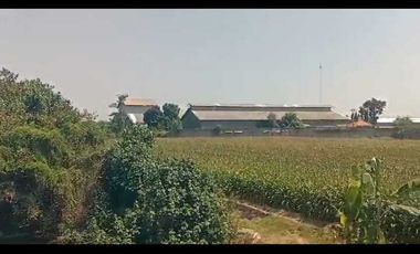 Lahan usaha pabrik Kertas 3,3 HA harga 30 Milyar di Kesamben, Jombang