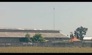 Lahan usaha pabrik Kertas 3,3 HA harga 30 Milyar di Kesamben, Jombang