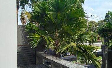 FOR RENT HUNIAN SEMI VILLA 2BR BARU SUPER STARTEGIS DEKAT SANUR