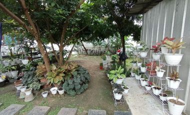 Dijual Rumah 700/1200m2 di Celentang Palembang