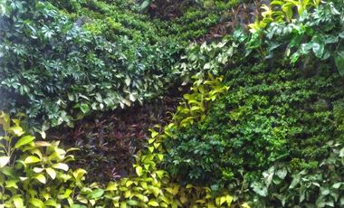 Dijual rumah baru Mega Asih Pasteur Bandung