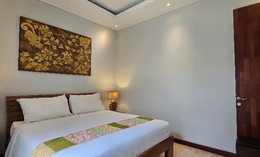 Villa Two Bedroom Canggu