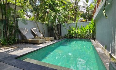 Villa Two Bedroom Canggu
