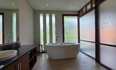 Villa Two Bedroom Canggu