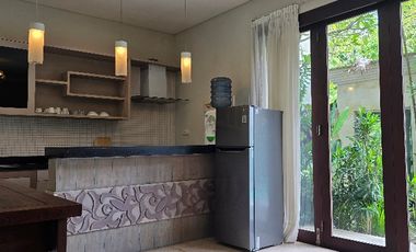 Villa Two Bedroom Canggu